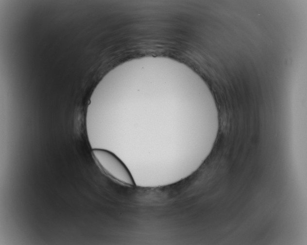 X0000093220866200710101343