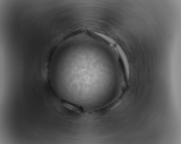 X0000093220868200710101343