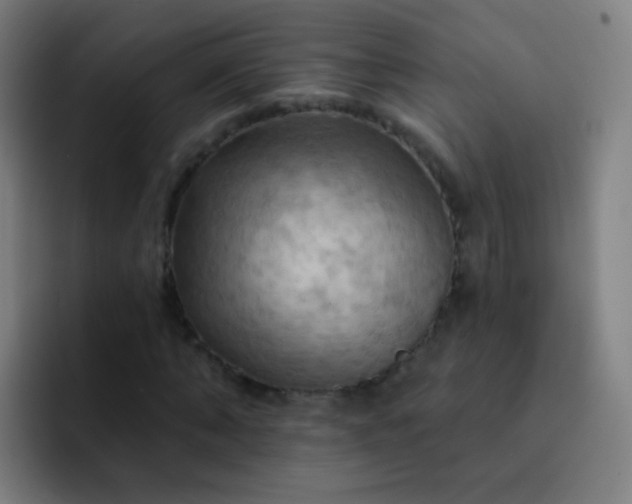 X0000093220870200710101343