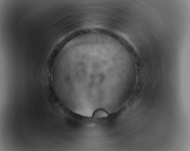 X0000093220871200710101343