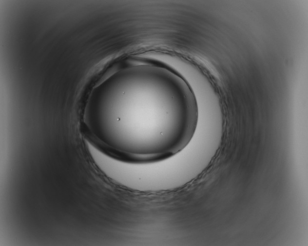 X0000093220872200710101343