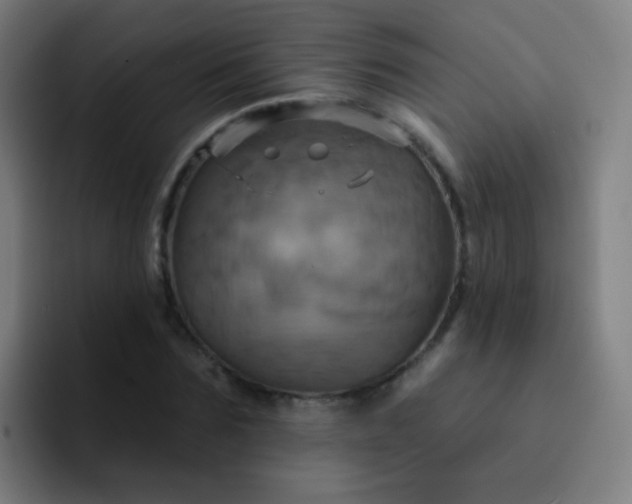 X0000093220875200710101343