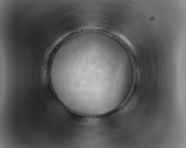 X0000093220878200710101343