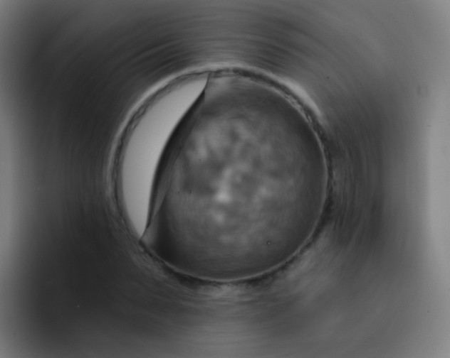 X0000093220879200710101343