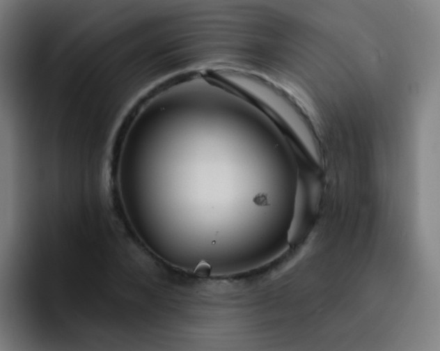 X0000093220880200710101343