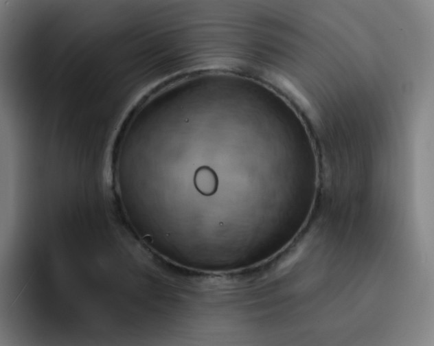 X0000093220883200710101343