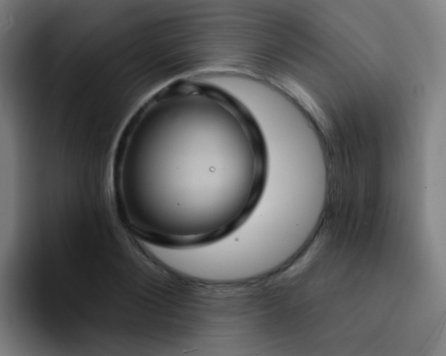 X0000093220884200710101343