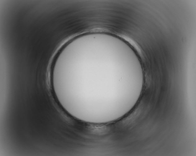 X0000093220886200710101343