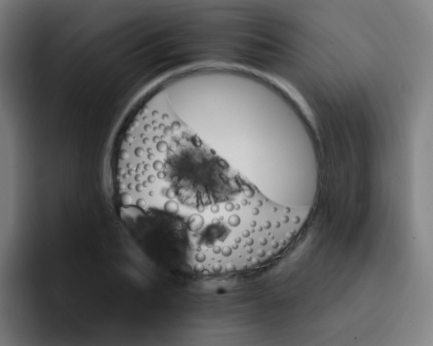 X0000093220887200710101343