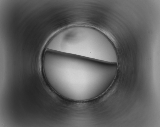 X0000093220888200710101343