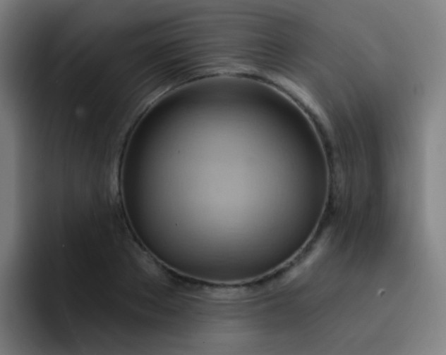 X0000093220889200710101343