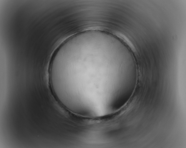 X0000093220890200710101343