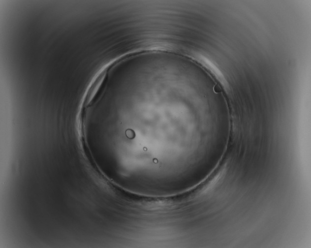 X0000093220891200710101343