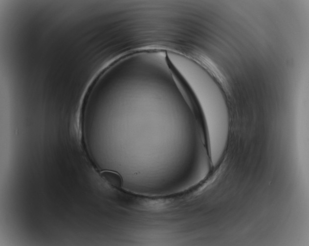 X0000093220892200710101343