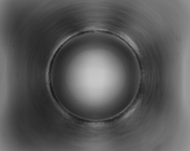 X0000093220893200710101343