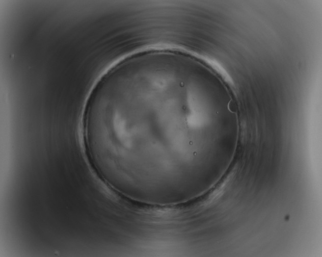 X0000093220895200710101343