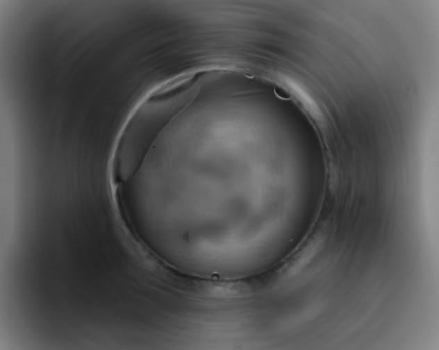 X0000093220899200710101343