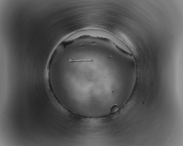 X0000093220900200710101343