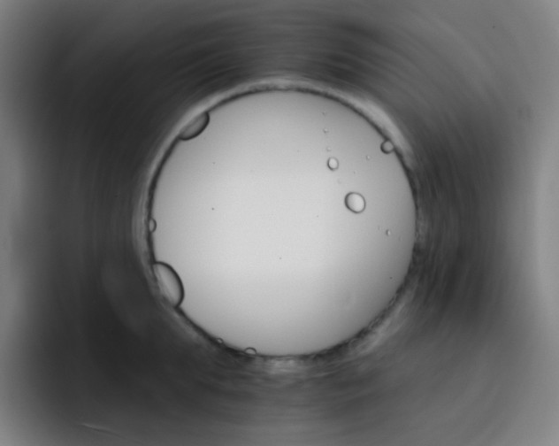 X0000093220903200710101343