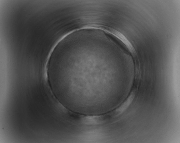 X0000093220908200710101342