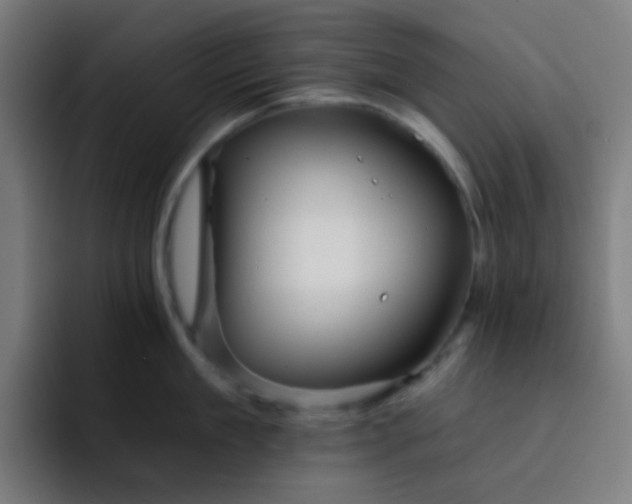 X0000093220909200710101342