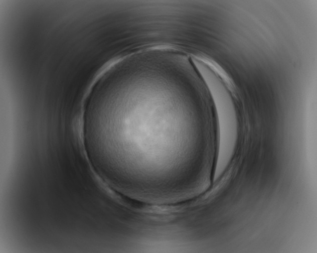 X0000093220910200710101342