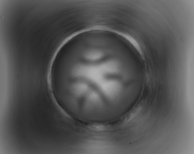 X0000093220911200710101342