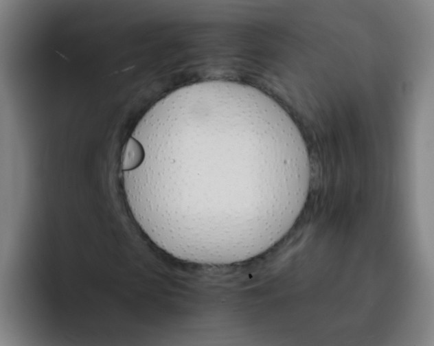 X0000093220913200710101342