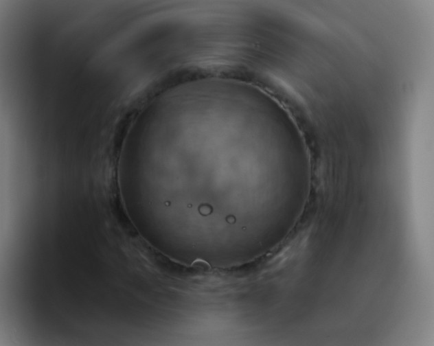 X0000093220917200710101342