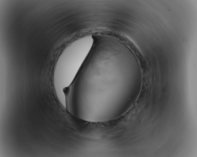 X0000093220919200710101342