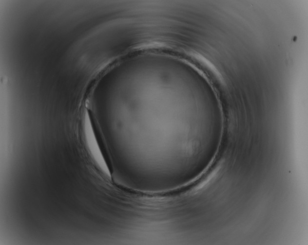 X0000093220921200710101342