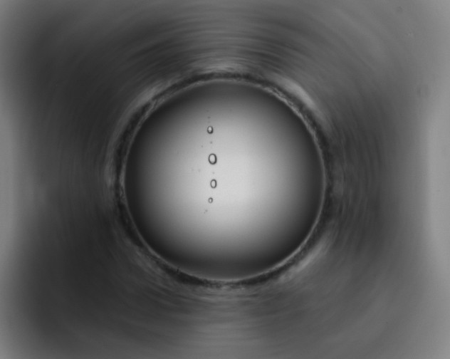 X0000093220922200710101342