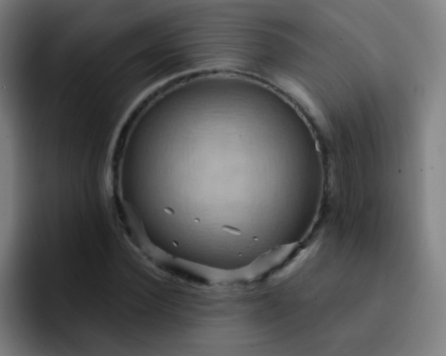 X0000093220924200710101342