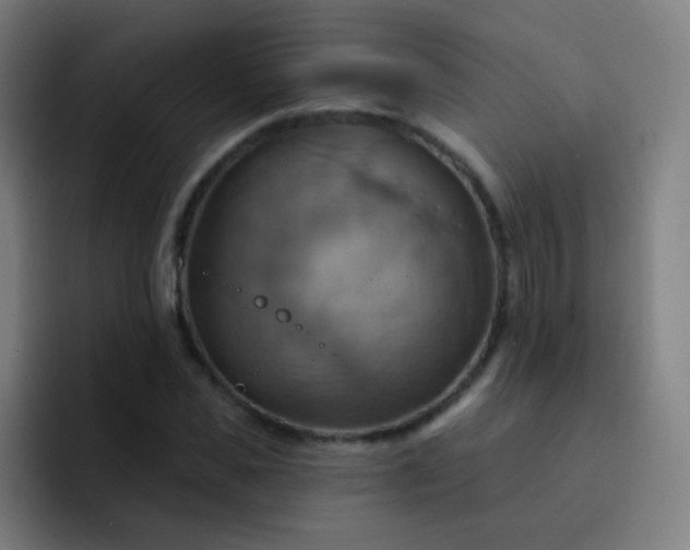 X0000093220925200710101342