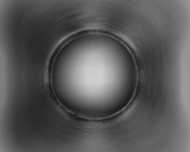 X0000093220927200710101342