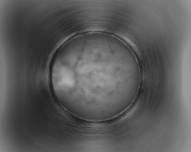 X0000093220933200710101342