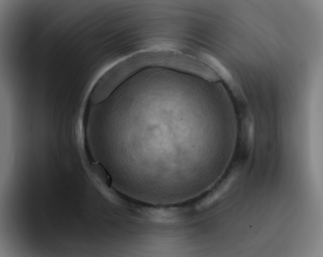 X0000093220936200710101342