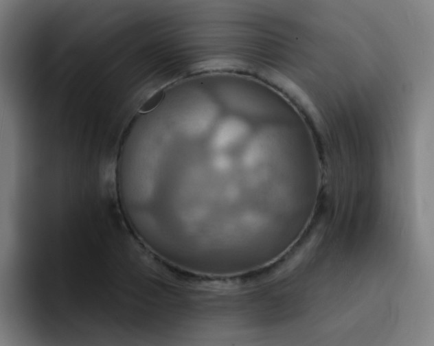 X0000093220937200710101342