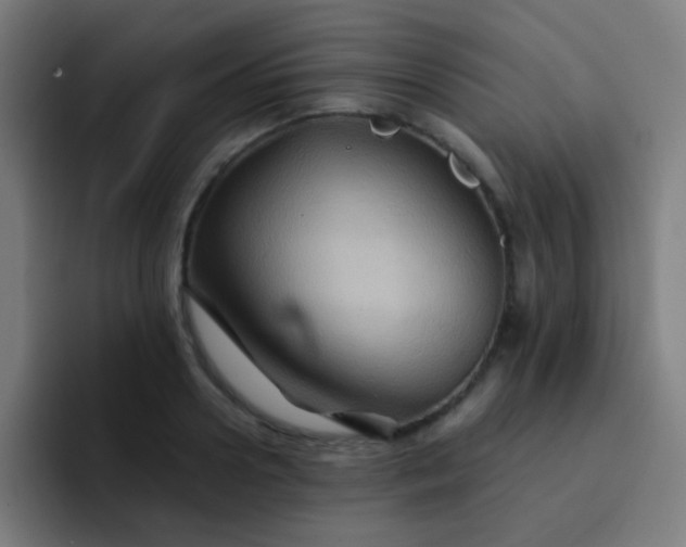 X0000093220938200710101342