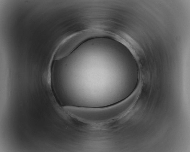 X0000093220940200710101342