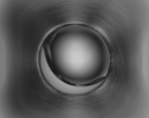 X0000093220942200710101342