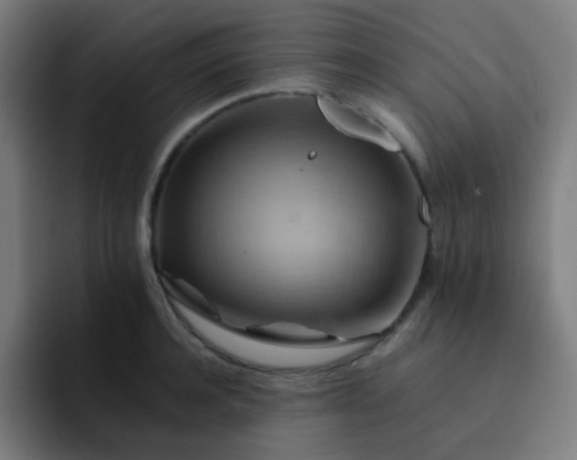 X0000093220944200710101342