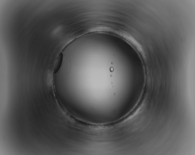 X0000093220945200710101342