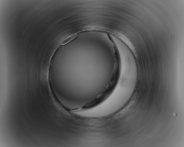 X0000093220946200710101342