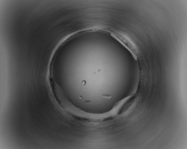 X0000093220948200710101342