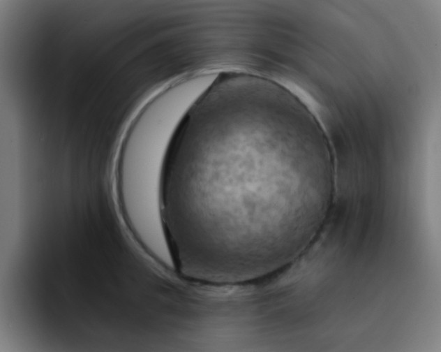 X0000093220949200710101342