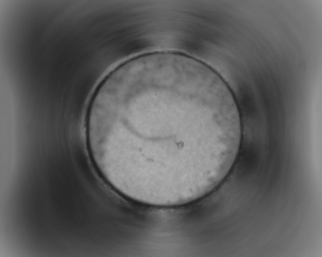 X0000093220950200710101342