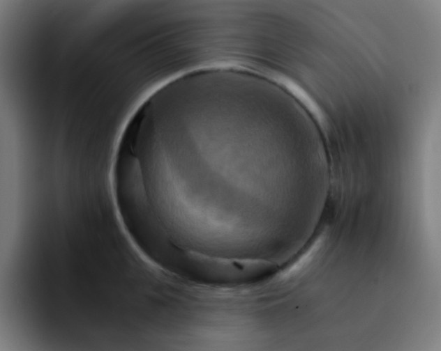 X0000093220951200710101342