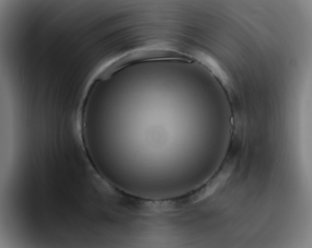 X0000093220952200710101342