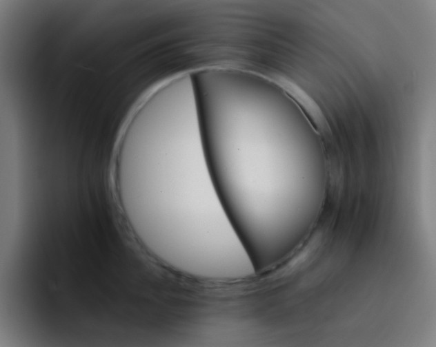 X0000093220956200710101342